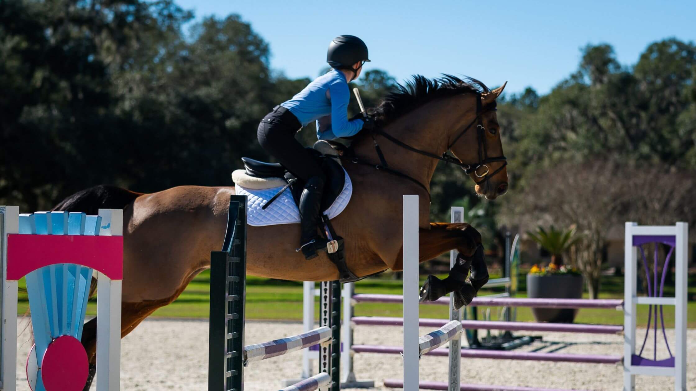6 Tips for Training Horses that Rush Jumps Ride IQ